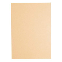 Lucky Star CS150 A4 80gsm Color Paper - Peach (450s'/pkt)