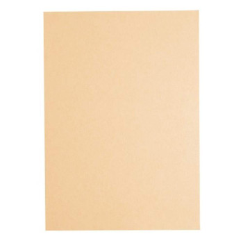Lucky Star CS150 A4 80gsm Color Paper - Peach (450s'/pkt)