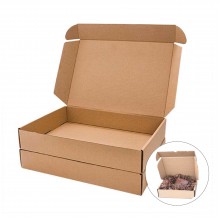 Ready Stock !  Pizza Box /  Packaging Box 飞机盒 ( 26x19.5x4.5cm )