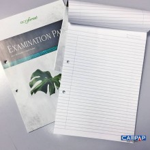 Campap Ecoforest Examination Pad A4 50s (CF8401)